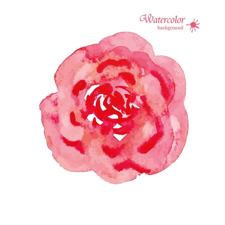 Vector flower. Flowers, drawing watercolor. Design for invitation, wedding or greeting cardsのイラスト素材