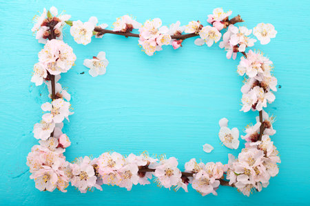 Spring flowering branches, frame on wooden background.の写真素材