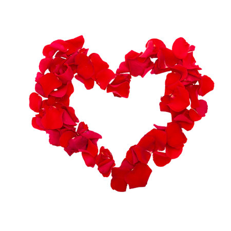 Rose petals in heart shape.の写真素材
