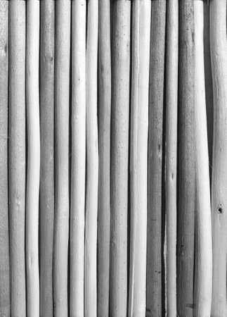 natural texture, straw. Textured background with bamboo matの写真素材
