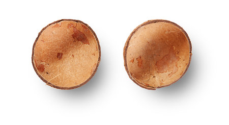 coconut empty shell with shadow top view isolated on whiteの写真素材