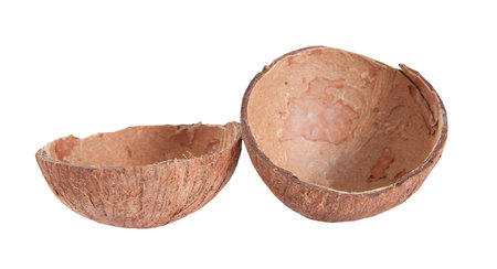 coconut empty shell top view isolated on white backgroundの写真素材