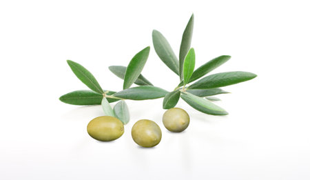 Olive branch with three delicious green olives, isolated on whiteの写真素材