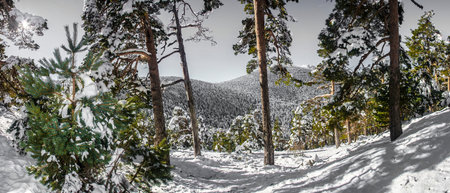 snow covered mountains