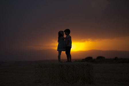 Sunset on the field in good companyの写真素材