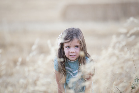 girl posing in a wheat fieldの写真素材