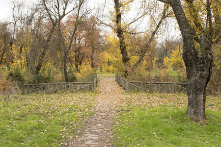An autumn day in Madridの写真素材