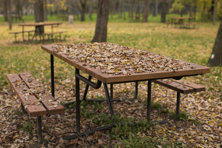 An autumn day in Madridの写真素材