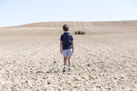 Boy on the field plantedの写真素材