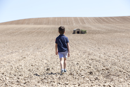 Boy on the field plantedの写真素材