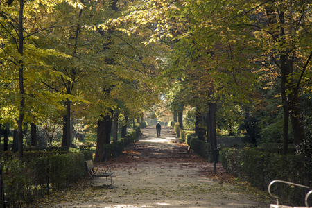 Retiro Park, Madridの写真素材