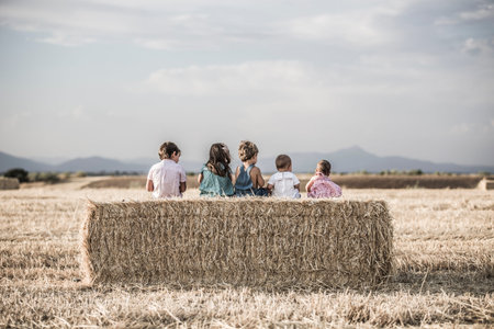 Children in the wheat fieldの写真素材