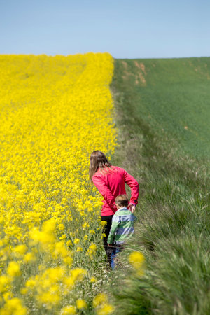 Mother and son walking through the rapeseed field.の写真素材