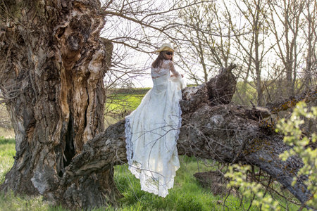 bride in the fieldの写真素材