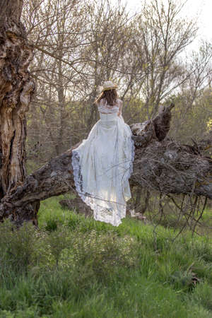 bride in the fieldの写真素材