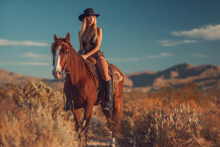 Beautiful cowgirl on horseback in the mountains at sunset.の素材