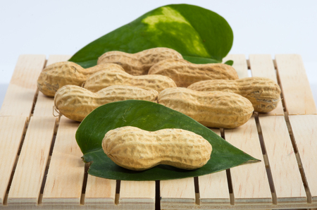 Peanuts.の写真素材