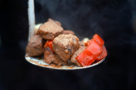 close up of a ladle with hot meat and vegetables, just cooked. Shot with particular focus and...
