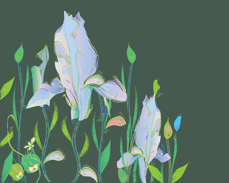 Hand drawn flower pattern with an iris in the center of composition.のイラスト素材