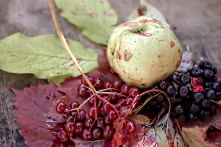 Close up of berries and apple, fall still lifeの写真素材