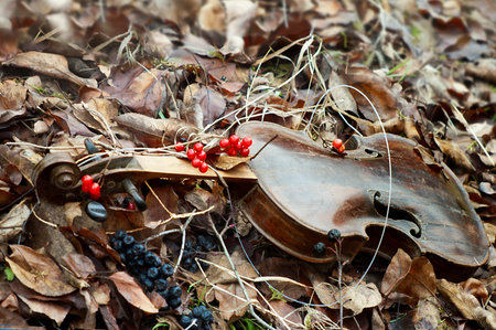 close up of abandoned violin laid on a foliage in a autumn garden, memories conceptの写真素材