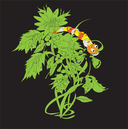 Hand drawn funny caterpillar on a plant, isolated on blackのイラスト素材