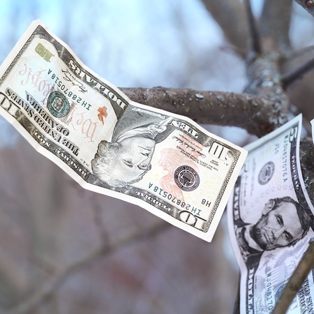 US currency flying or falling, formal garden and trees in the background, square outdoor shotの写真素材