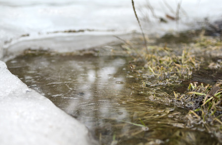 Closeup of a springtime flood with plants in water and snow around, concept of season change. Outdoor shot with the blurred  back and foregroundsの写真素材