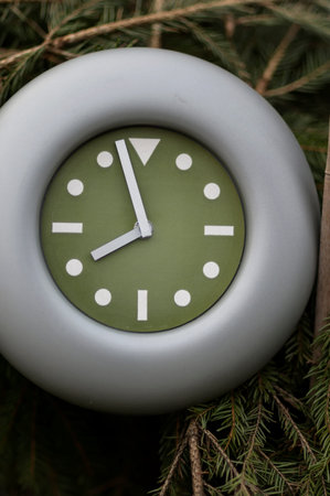 Wall clock with a green dial hanging on a branch of a green pine tree. Concept of climate or weather...