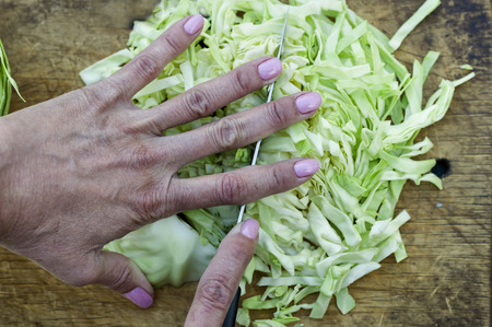 Overhead shot of female hands chopping cabbage outdoor horizontal imageの写真素材