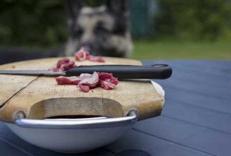 Cropped shot of a kitchen tray with raw chopped meat and shepherd dog in the blurred backgroundの写真素材