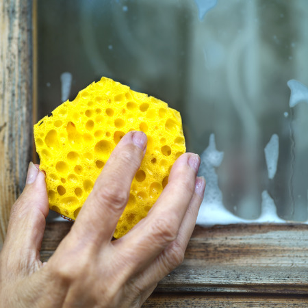 Yellow sponge in female hands, window and foam in the blurred backgroundの写真素材