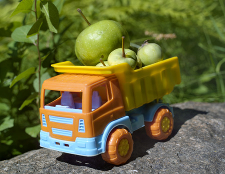 Toy truck loaded by green apples, concept of food delivery, garden in the blurred backgroundの写真素材