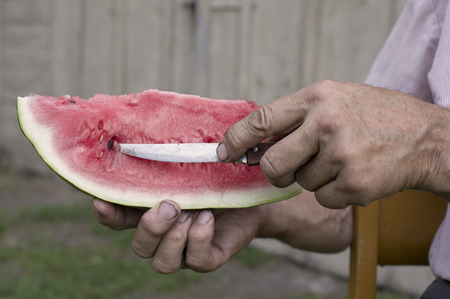 Aged hands of peasant picking seeds from a slice of watermelon, outdoor horizontal shot with no peopleの写真素材