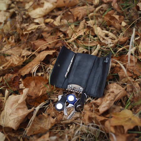 Bunch of keys lying on autumn leaves, square shot with particular focusの写真素材