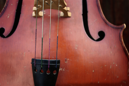 Closeup of retro cello strings, music backgroundの写真素材