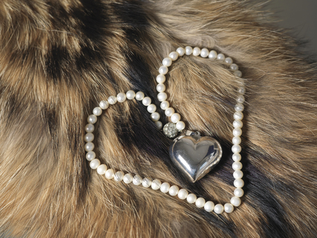 Pearl beads in shape of heart laid on animal fur, closeup angled shotの写真素材