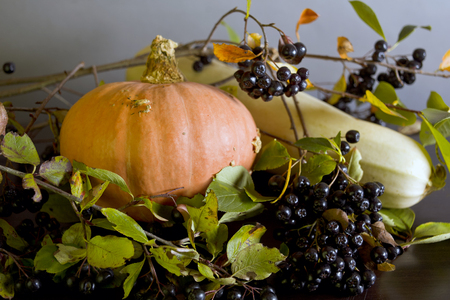 Pumpkin and squash with a bunch of chokeberry, studio front shotの写真素材