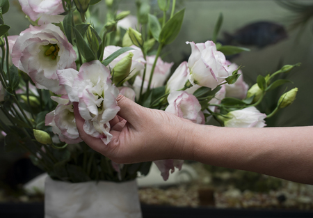 Female hand arranging a bouquet, a fish tank in the blurred backgroundの写真素材