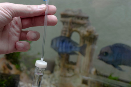 A vet hand setting infusion. The fishes swimming in a fish tank in the blurred backgroundの写真素材
