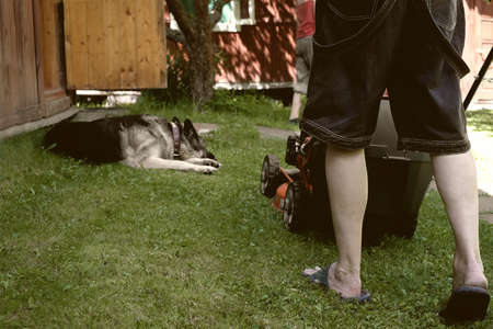 Worker lawn mowing while his dog resting near by, outdoor cropped filtered photoの写真素材