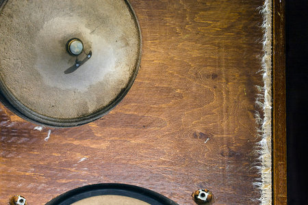 Closeup speaker front cropped shot with surrounds and diaphragm coils
