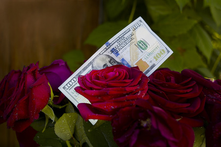 A hundred dollar banknote attached to the bouquet of roses, green foliage in the blurred backgroundの写真素材