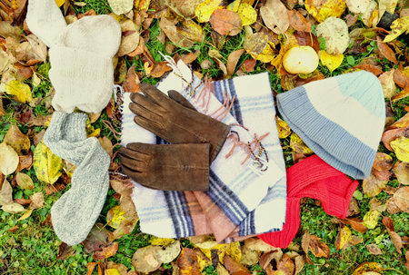 Warm clothing and accessories laid on the fallen leaves, above view