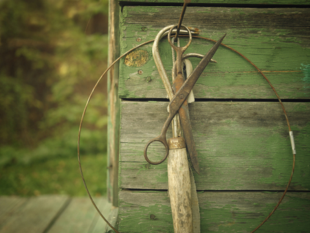 Rusty old scissors and other retro vintage hand tools hanging on the wooden wall. Filtered photoの写真素材