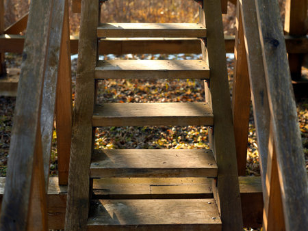 Wodden Ladder Outdoor