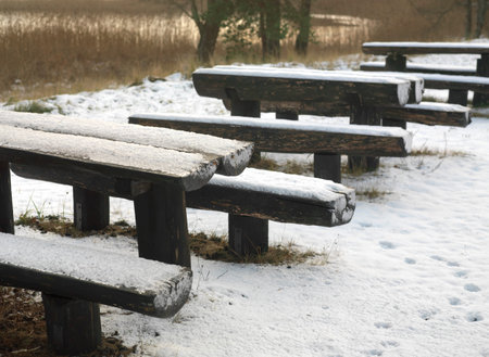 Wooden benches and tables covered with snow on a lake shore, winter scene