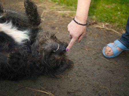 A woman touching a snout of a dog seems obedient