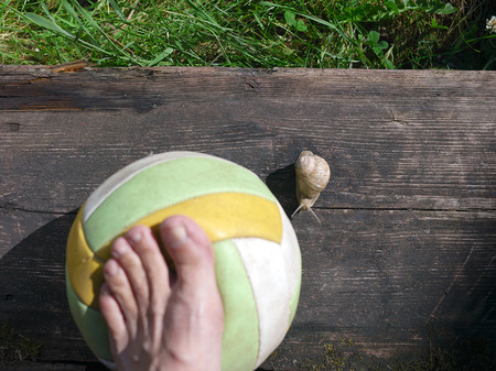 A snail in focus and a bare foot on a football ballの写真素材