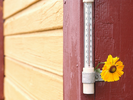 Closeup of a temperature gauge and a flower hanging on the wallの写真素材